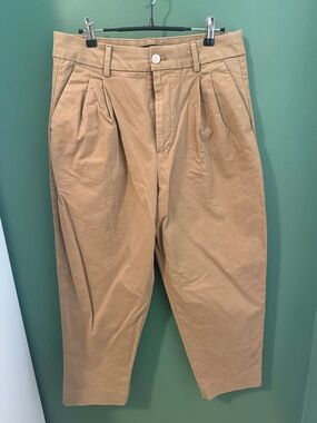 Banana Republic Pleated Chino Pants